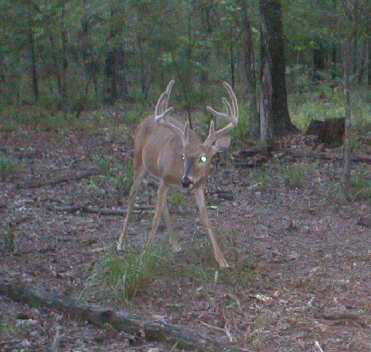 Slideshow Image 3